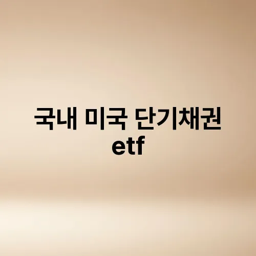 국내 미국 단기채권 etf