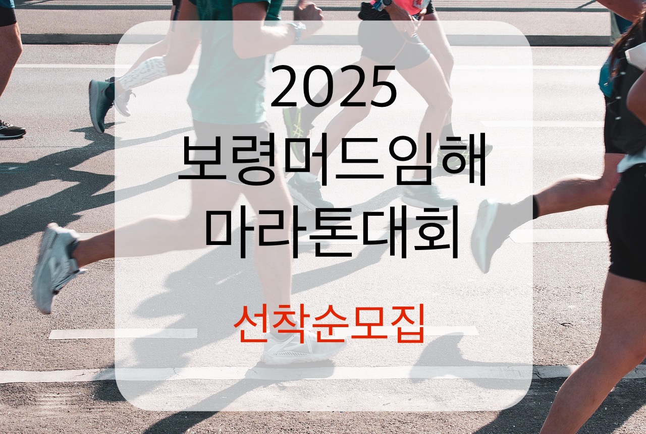 보령머드임해마라톤대회