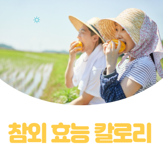 참외의 효능과 칼로리