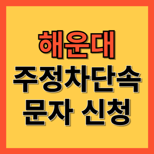 부산 해운대구 주정차 단속 알림 서비스 신청 방법 ❘ 주차단속 문자알림서비스