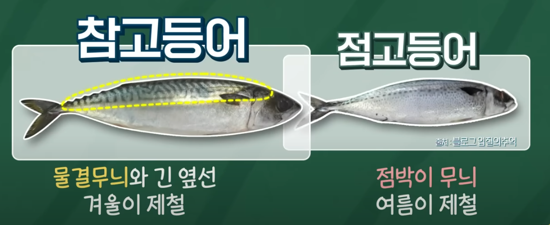편스토랑 류수영 고등어조림 요리 재료