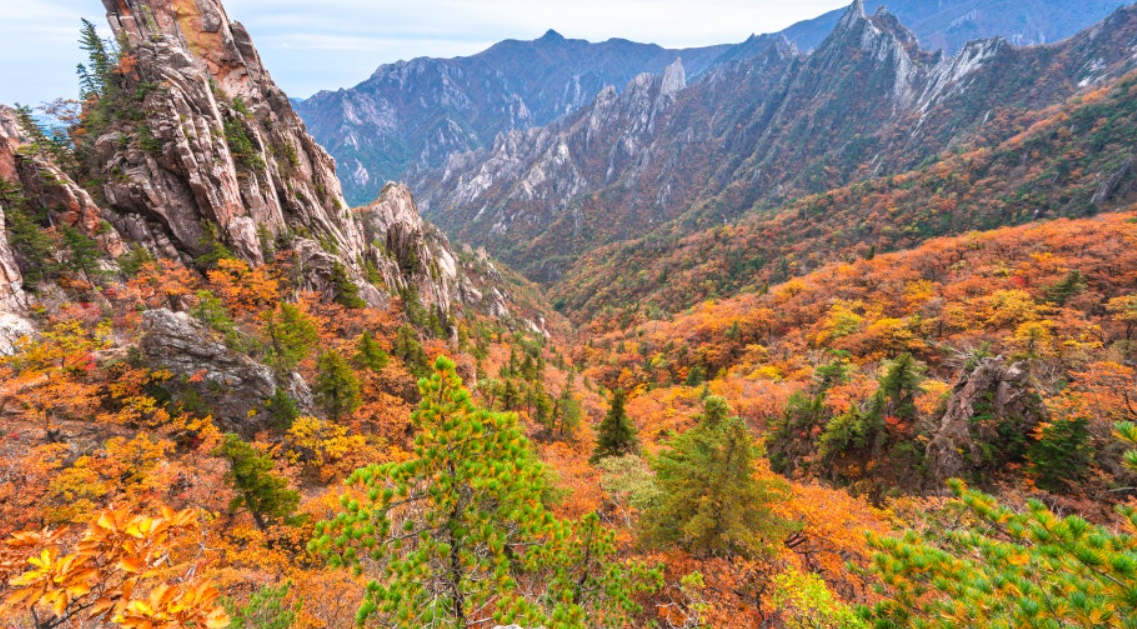설악산