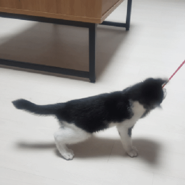 다이소 어묵꼬치 장난감