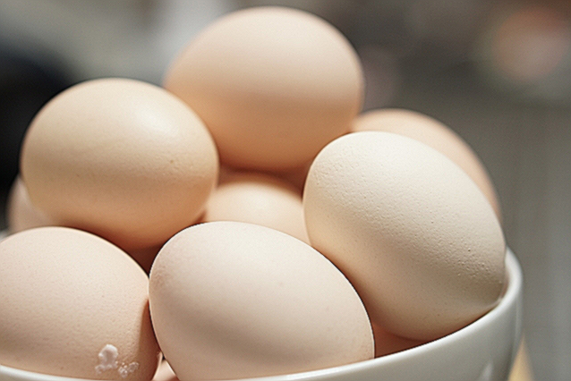 난유 효능 부작용