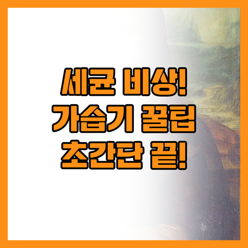 1주 1회 필수! 가습기 석회질 세균..