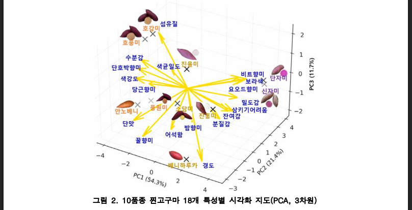찐고구마 어디까지 알고 있나요? 10품종 맛 완전분석 (출처: 농촌진흥청)