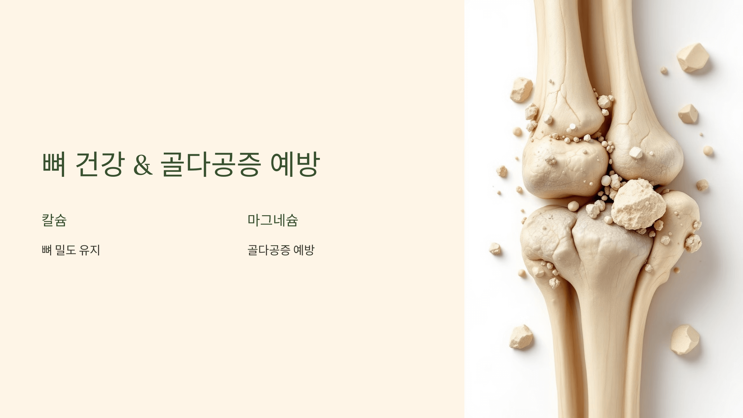 파로 효소와 관련된 사진입니다.