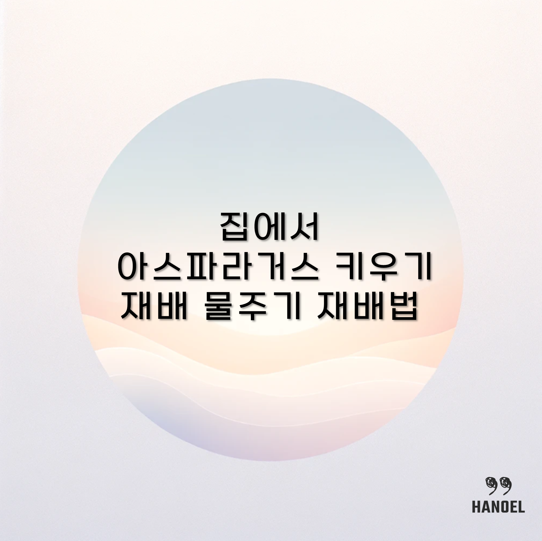 집에서 아스파라거스 키우기 재배 물주기 재배법
