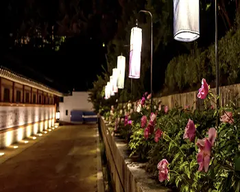 수원화성 야간개장_3