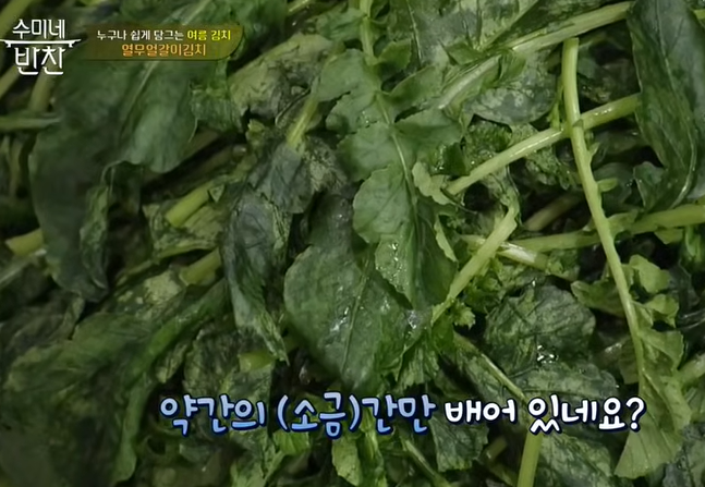김수미 열무김치 담그는 법 레시피 (출처-수미네반찬)