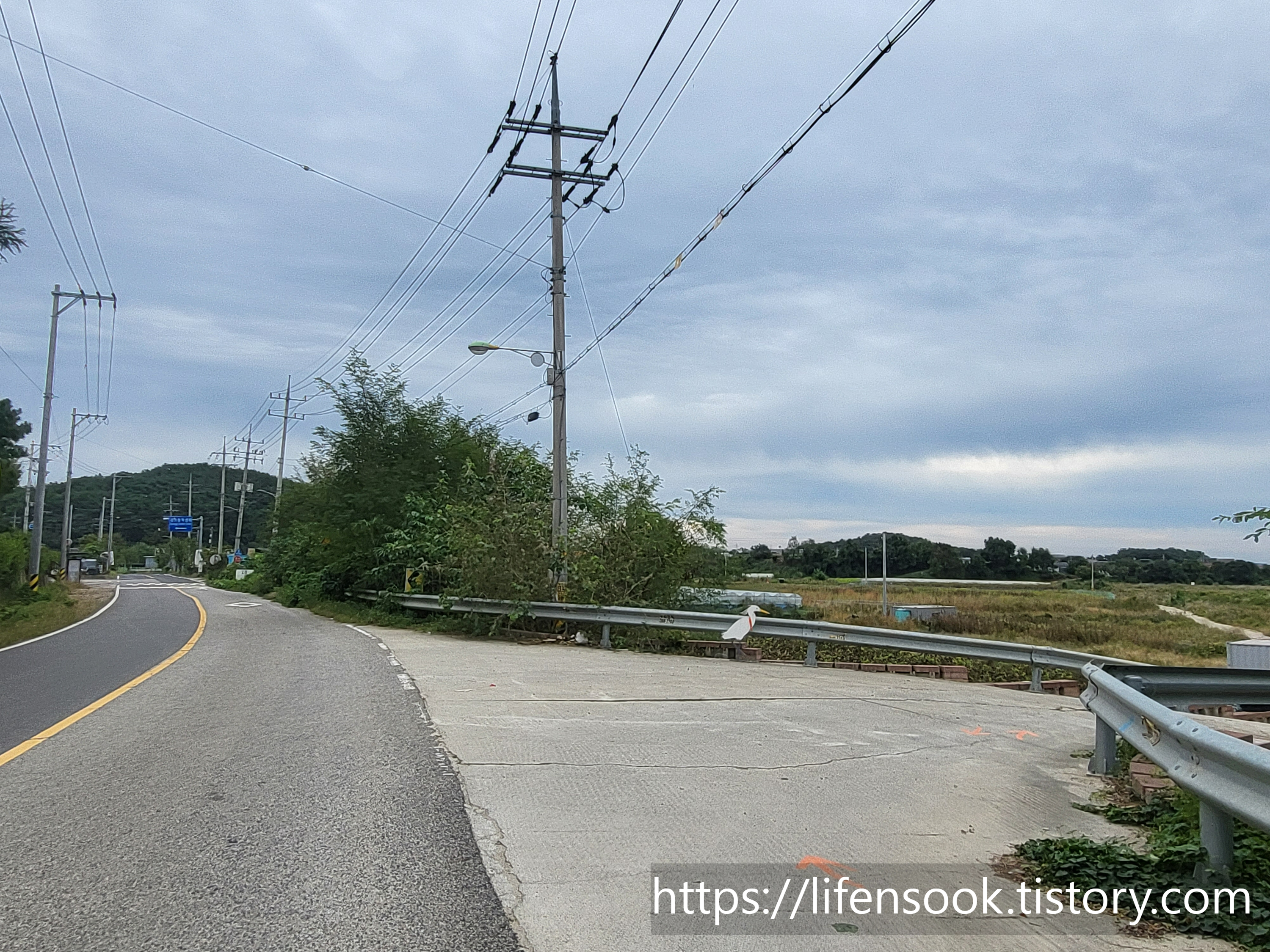 대부해솔길 6코스 노랑부리백로 3