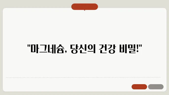 마그네슘 하루 권장량