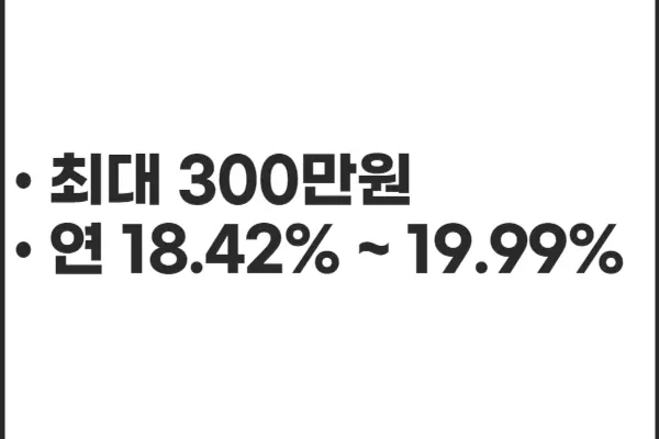 비타WON긴급대출 대출한도 및 금리