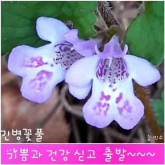 6월 날짜별인사말 최신판 총정리_24