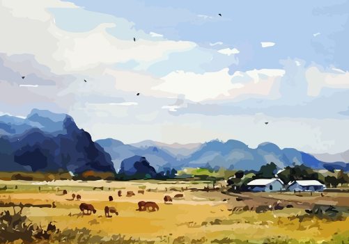 농지 관련 사진