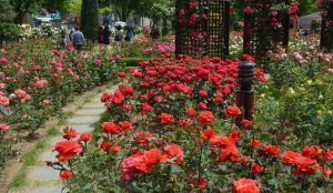 5월에 방문하는 축제 BEST 7