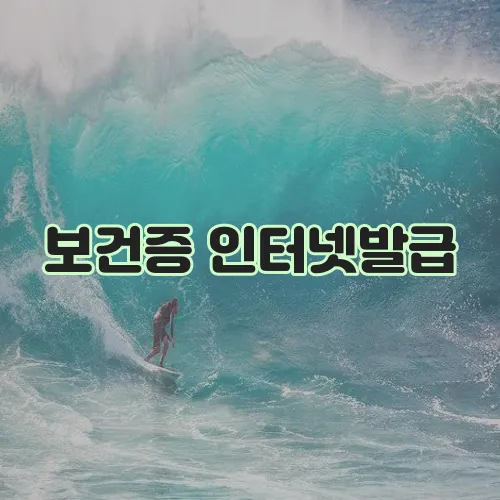 보건증 인터넷발급
