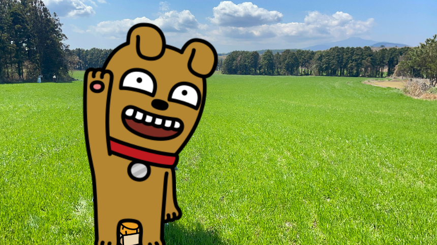 비밀의 숲 목초지