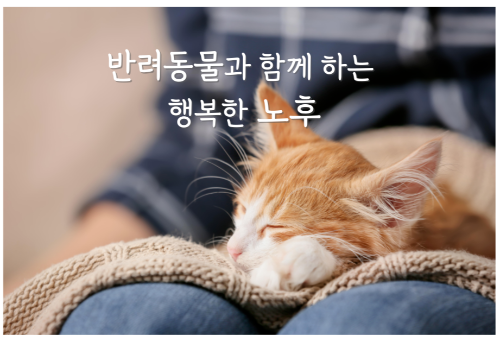 노후 준비를 할 때 중요한 반요소 중 하나는 경제적 안정과 삶의 질 유지입니다. 특히, 반려동물과 함께하는 삶을 계획하고 있다면 반려동물 보험도 중요한 고려 사항이 됩니다. 반려동물과 함께하는 노후 준비의 핵심, 반려동물을 위한 보험 선택법까지 자세히 알아보겠습니다.