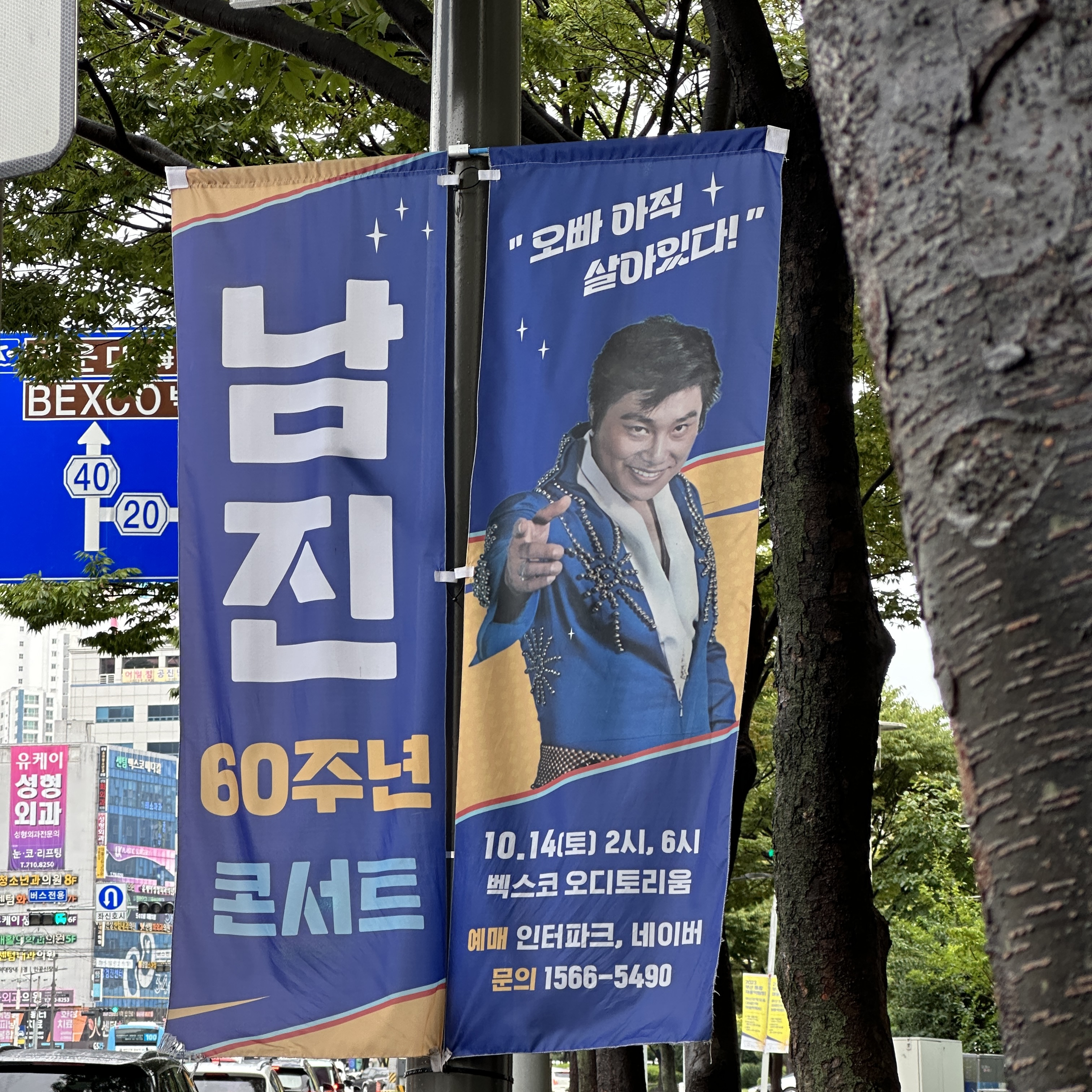 남진_60주년기념_부산콘서트
