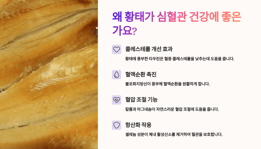 왜 황태가 심혈관 건강에 좋은가요?