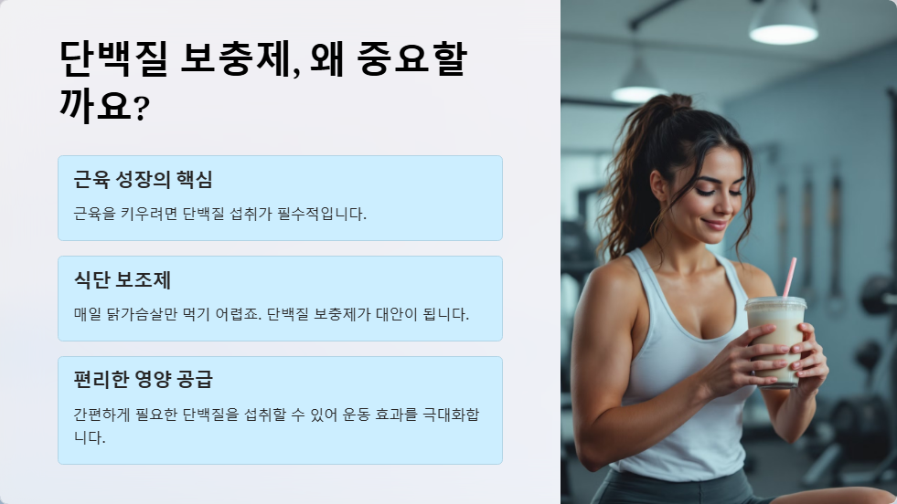 단백질 보충제 비교