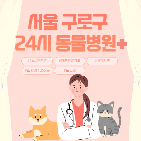 서울 구로구 24시 동물병원