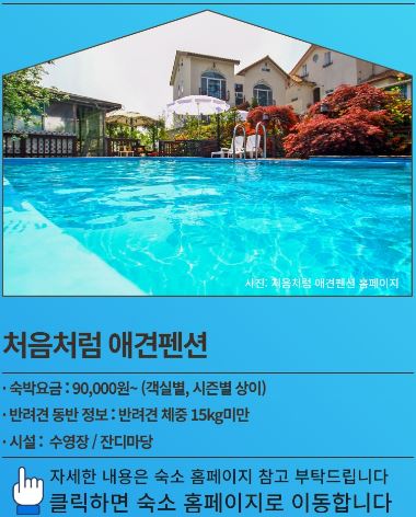 처음처럼 애견펜션