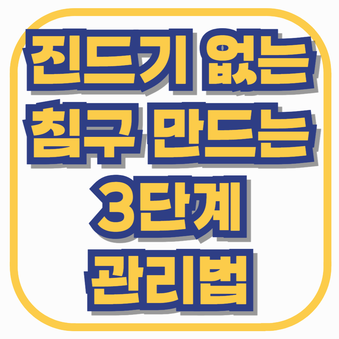 진드기 없는 침구 만드는 3단계 관리법