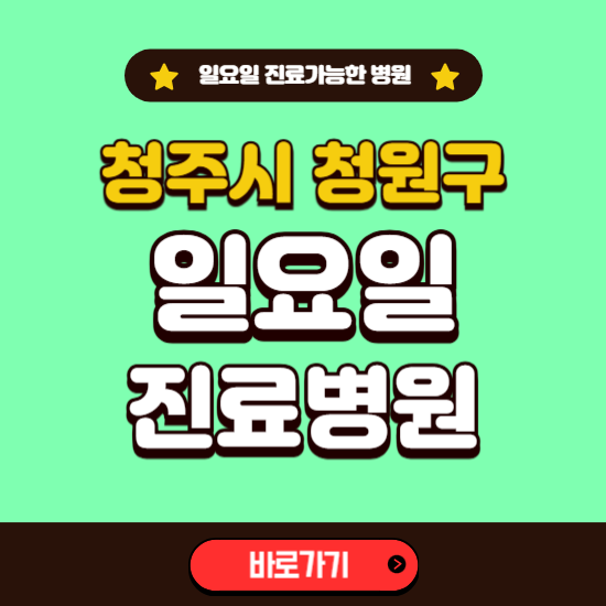 청주시 청원구 일요일 진료 가능한 병원 ❘ 주말 문여는 곳 총정리 (소아과, 내과, 안과, 치과, 피부과, 정형외과, 산부인과)