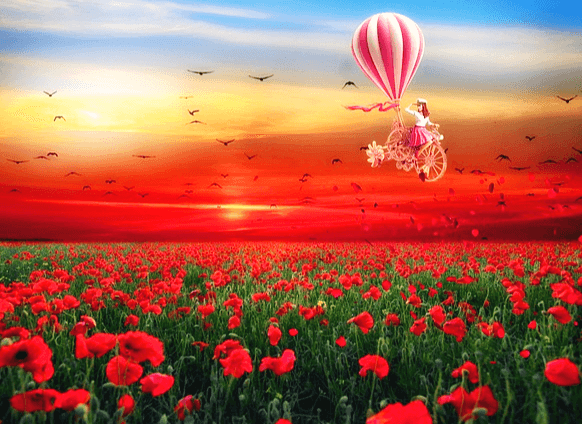 빨간 꽃이 가득 핀 꽃밭 위로 커다란 열기구 한 개가 떠 있다. 열기구를 자전거를 탄 여인이 이글고 있는 모습이다.