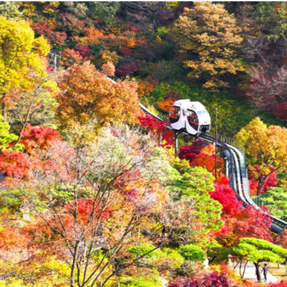 화담숲 단풍 절정시기