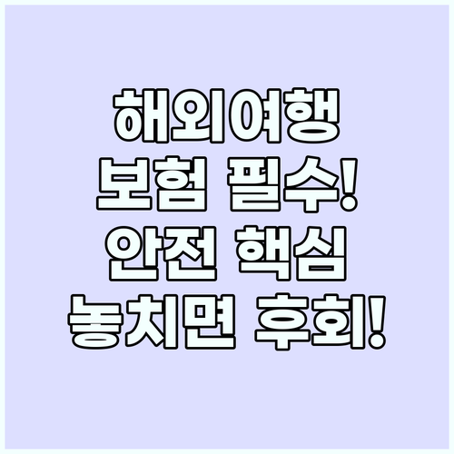 해외여행 보험과 안전, 행복한 여정을..