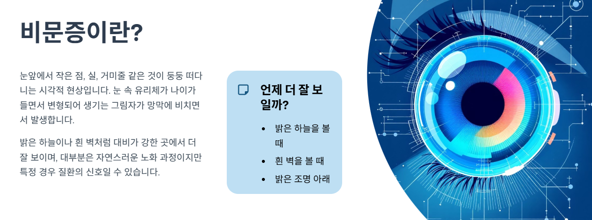 비문증(눈 날파리 현상)이란?