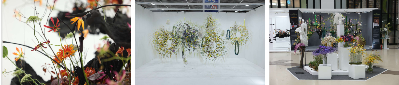 고양 꽃 박람회