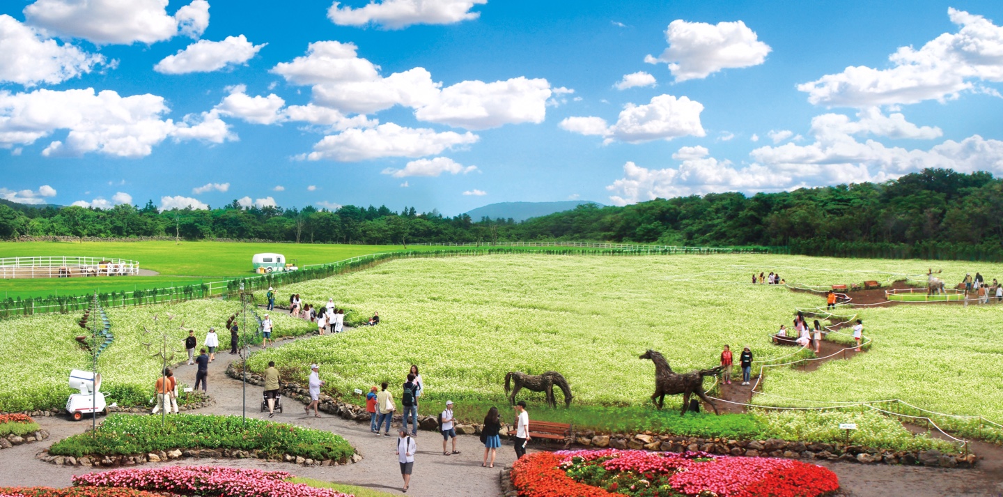 초등자녀와 가기 좋은 자연지 (가족, 자연, 추천지)