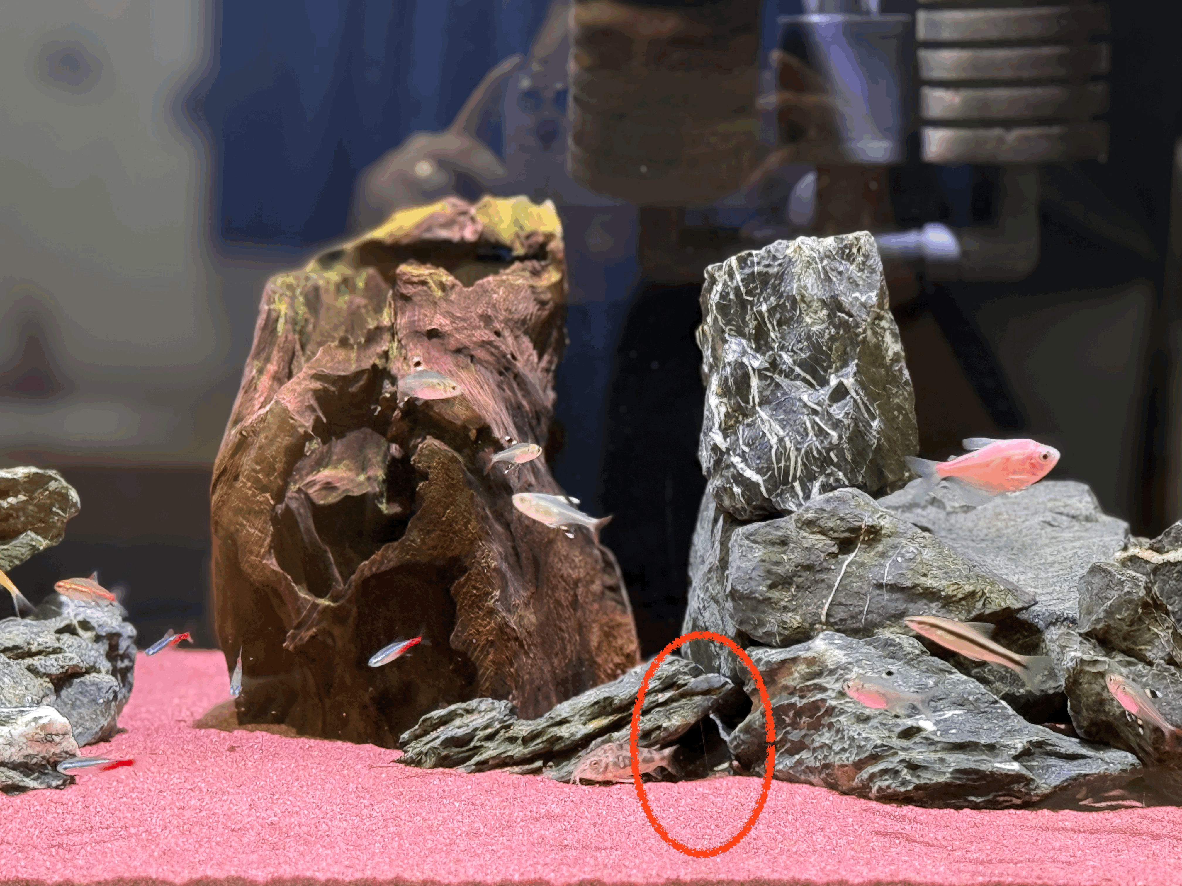 어항 유리 기스