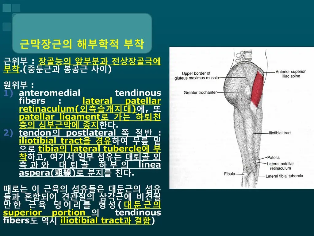 견갑봉공증후군