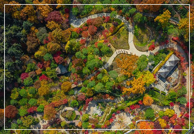 화담숲 이미지 /출처: 화담숲 홈페이지