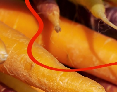 당근 효능 부작용