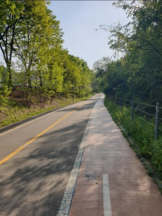 Elastic walking and cycling road in Guri &ndash; A refreshing riverside path perfect for fast walking and belly fat reduction ❘ 강변을 따라 시원하게 펼쳐진 뱃살 빼기 운동, 빠르게 걷기 좋은 산책로