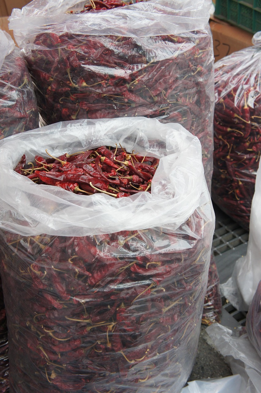 2025 구로구 김장쓰레기 배출요령|배출기간·분리배출 방법·과태료 주의사항 총정리