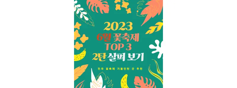 6월-꽃축제-2탄-썸네일