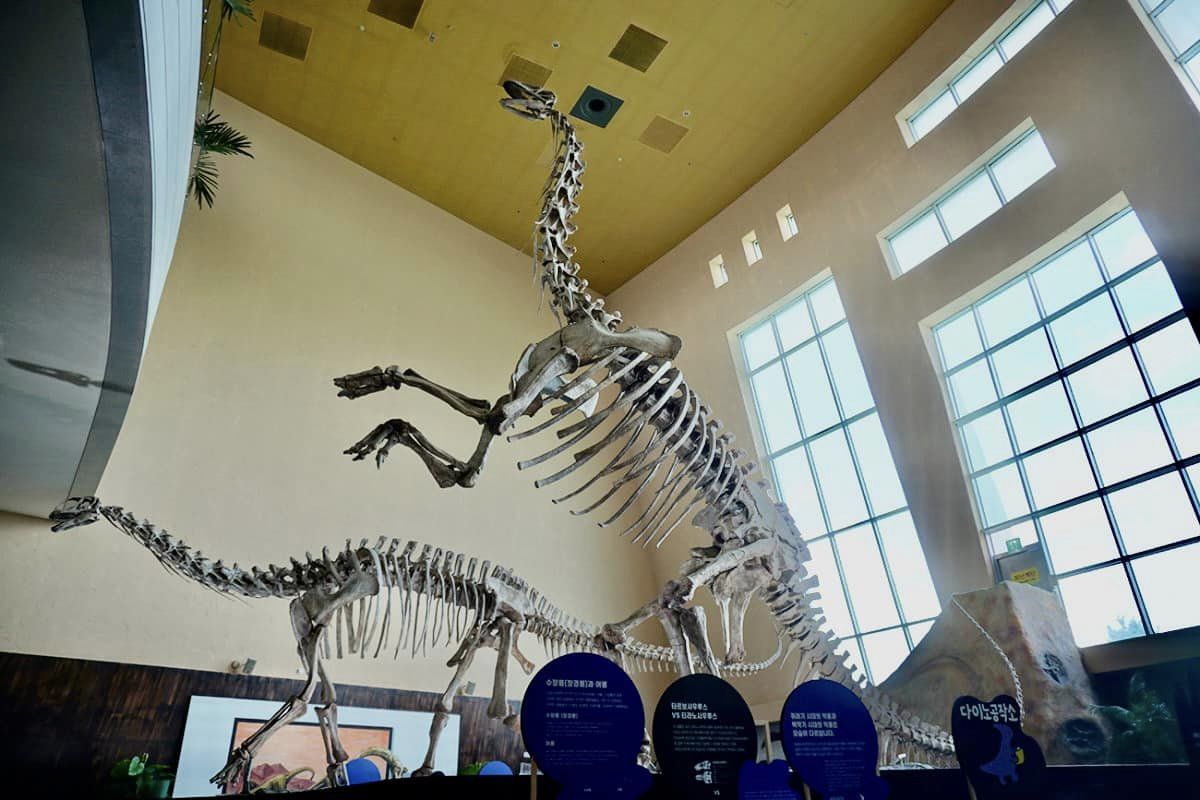  2024 해남 공룡대축제 특징