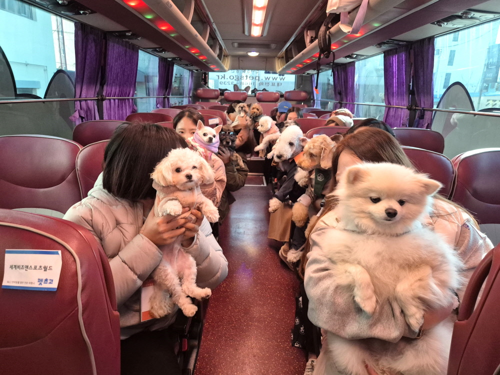 강아지와 함께 안전하게 여행하는 모습, 반려견 여행 주의사항 이미지