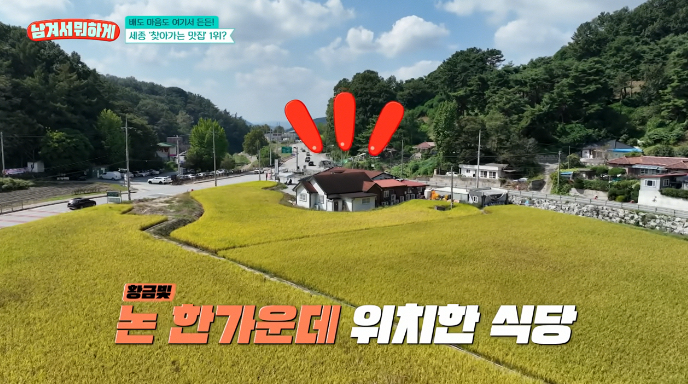 세종-찾아가는맛집1위