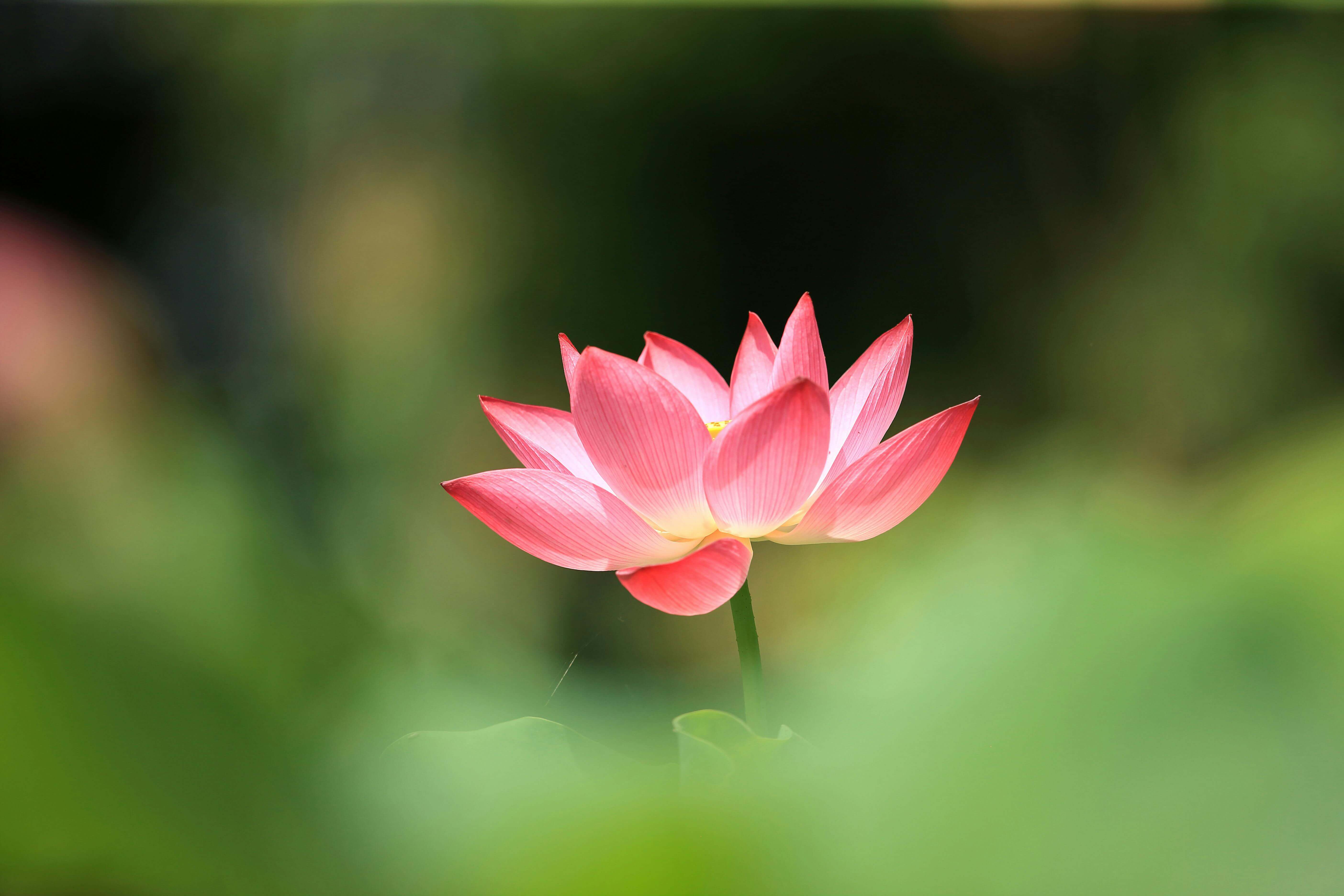 요양보호사 국비 과정과 현실 장단점