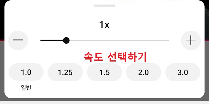 속도 선택 창 보임