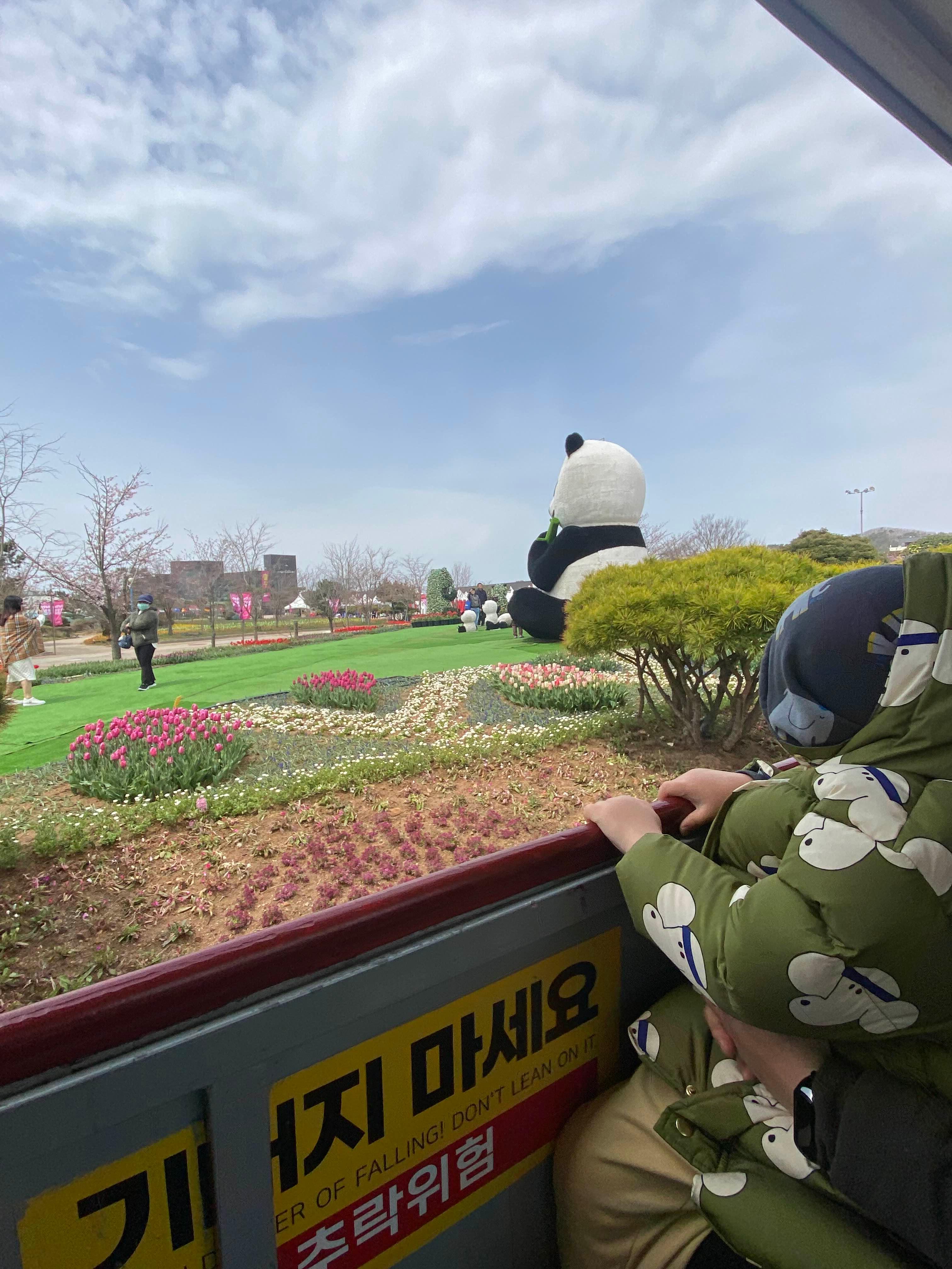 태안 안면도 세계튤립꽃축제장