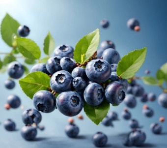 블루베리